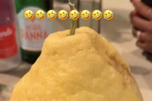 略顯驚訝！詹姆斯曬旅行途中遇到巨型檸檬：什么鬼？！配圖